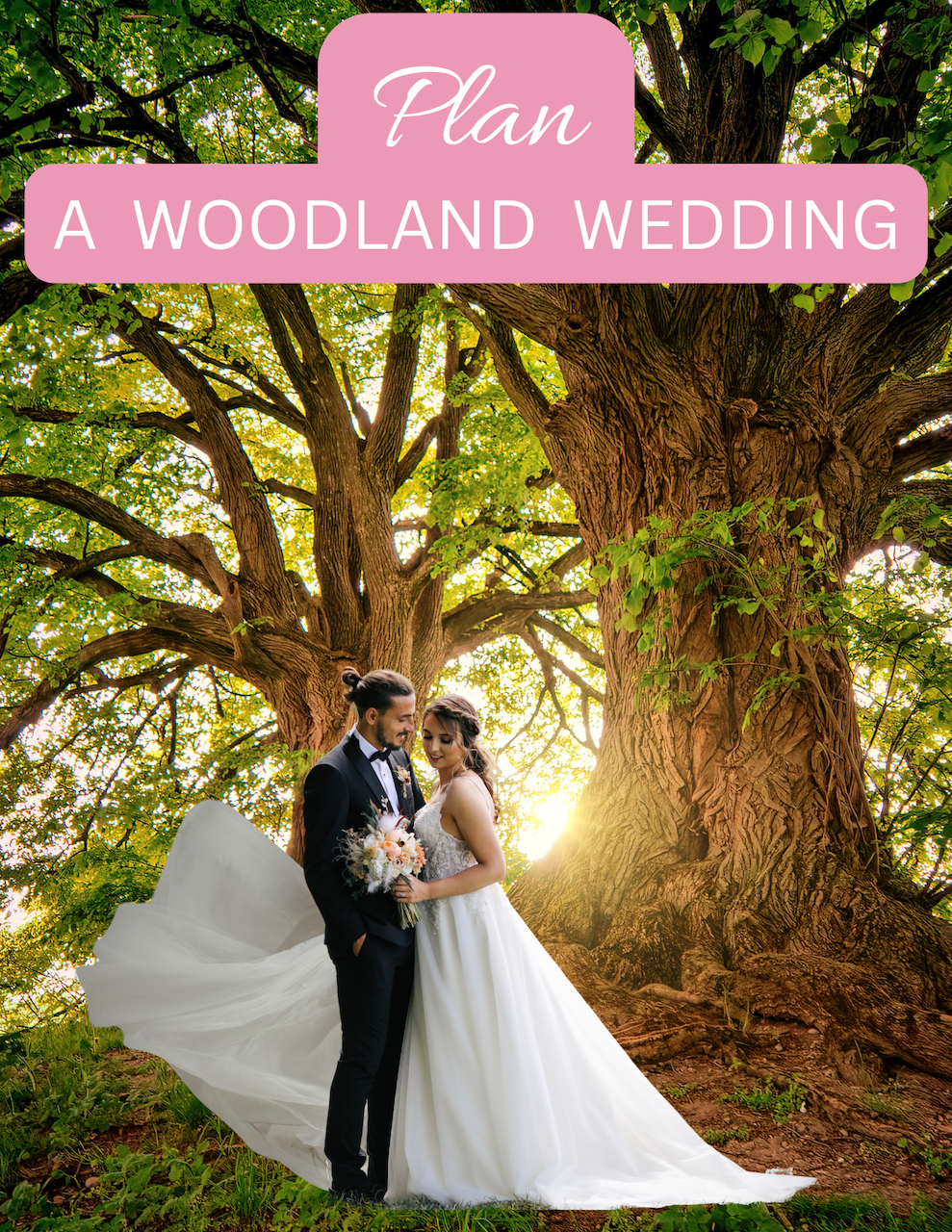 Plan A Woodland Wedding Cover